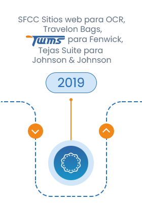 Milestone - 2019