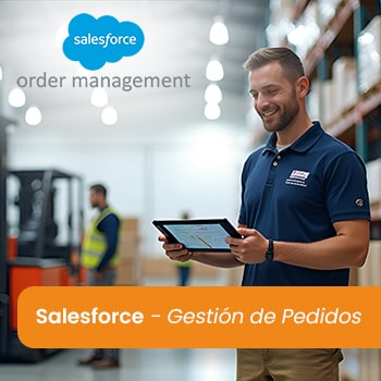 Salesforce Gestión de Pedidos