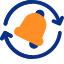 IT Systems Implementation & Integration